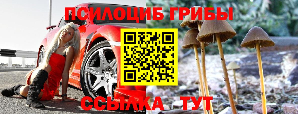 Галлюциногенные грибы Psilocybine cubensis Семёнов